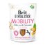 Brit Dental Stick Mobility s kurkumou a kolagenem 7ks
