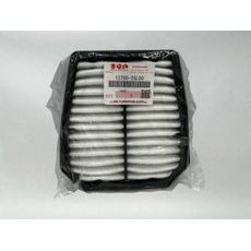 13780-25L00 Vzduchový filter