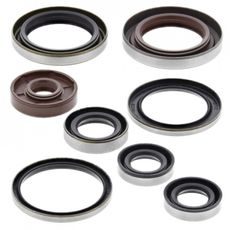 Sada gufier motoru WINDEROSA 822320
