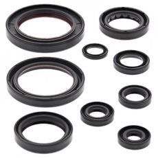 Sada gufier motoru WINDEROSA 822357