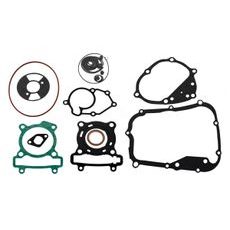 Tesnenie motora - sada RMS 100689810