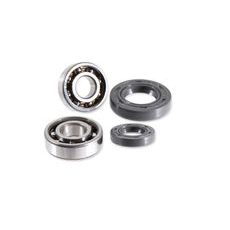 Crankshaft revision kit RMS 100200565