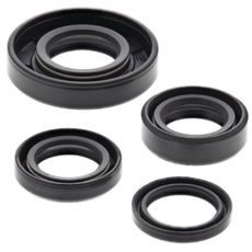 Sada gufier motoru WINDEROSA 822246