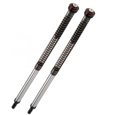 Cartridge prednej vidlice BITUBO ADJ: spring preload, rebound, compression + 2 Lt. Oil, Red ring