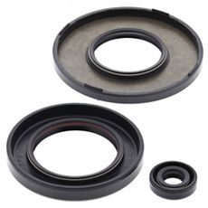 Sada gufier motoru WINDEROSA 55223