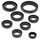 Sada gufier motoru WINDEROSA 822303