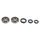 Crankshaft Rebuilding Kit ATHENA P400210444007 (bearing and oil seal kit)