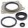 Sada gufier motoru WINDEROSA 55228