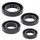 Sada gufier motoru WINDEROSA 822179