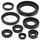 Sada gufier motoru WINDEROSA 822133