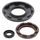 Sada gufier motoru WINDEROSA 55225