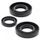 Sada gufier motoru WINDEROSA 822184