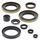 Sada gufier motoru WINDEROSA 822104