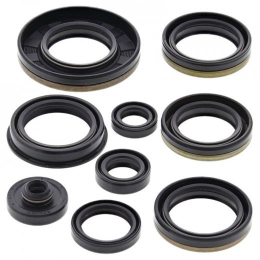 Sada gufier motoru WINDEROSA 822227