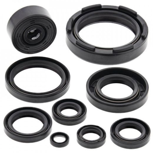 Sada gufier motoru WINDEROSA 822117