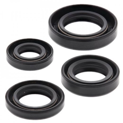 Sada gufier motoru WINDEROSA 822163
