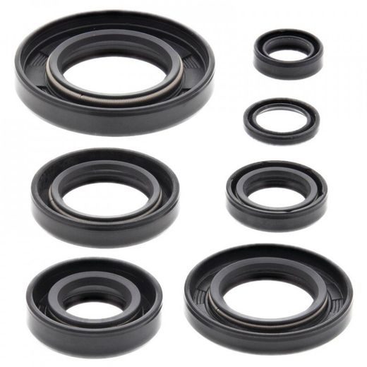 Sada gufier motoru WINDEROSA 822164