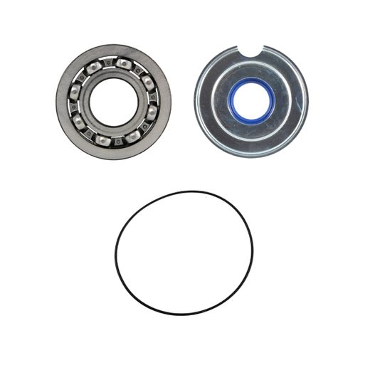 Crankshaft service kit RMS 100201540
