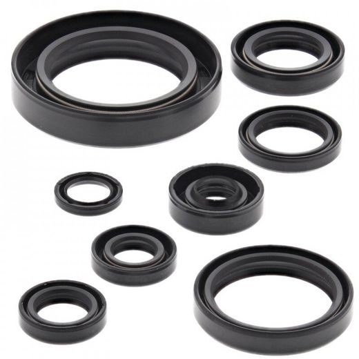 Sada gufier motoru WINDEROSA 822110
