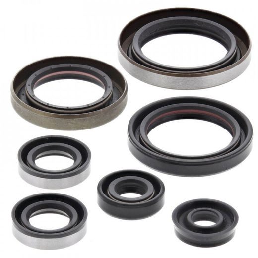 Sada gufier motoru WINDEROSA 822186