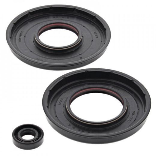 Sada gufier motoru WINDEROSA 55224