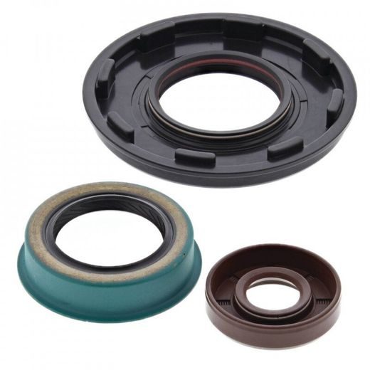 Sada gufier motoru WINDEROSA 55213