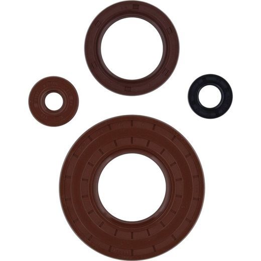 Sada gufier motoru WINDEROSA 822002