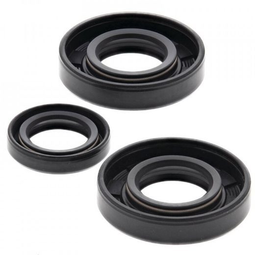 Sada gufier motoru WINDEROSA 822184