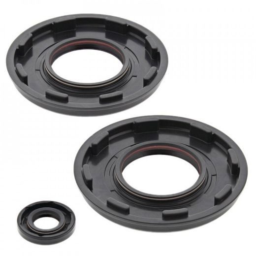 Sada gufier motoru WINDEROSA 55219