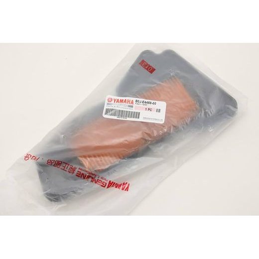 B0J-E4450-00 Vzduchový filter