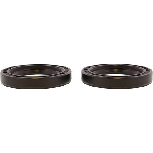 Sada gufier motoru WINDEROSA 622114