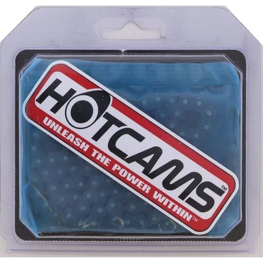 Camshaft Chain Silent Kit HOT CAMS HC00154