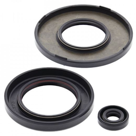 Sada gufier motoru WINDEROSA 55223
