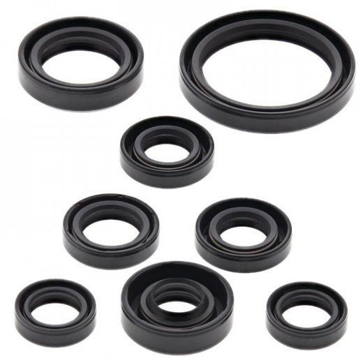 Sada gufier motoru WINDEROSA 822167