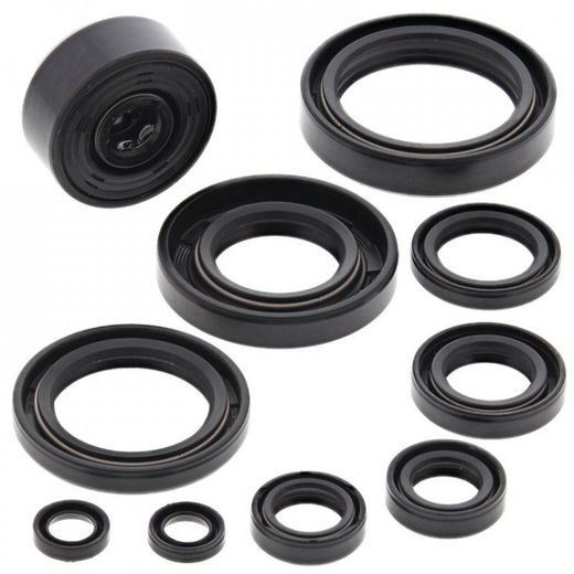 Sada gufier motoru WINDEROSA 822115