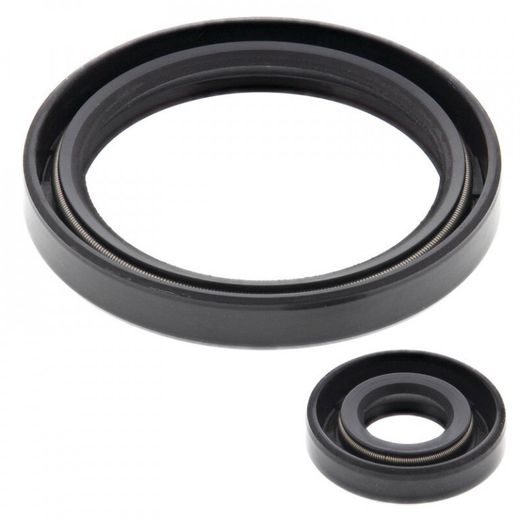Sada gufier motoru WINDEROSA 55237