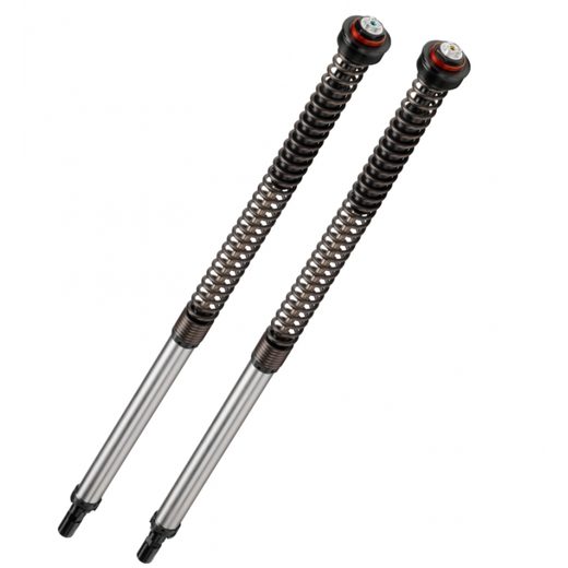 Cartridge prednej vidlice BITUBO ADJ: spring preload, rebound, compression + 2 Lt. Oil, Red ring