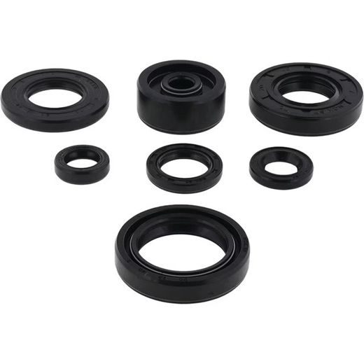 Sada gufier motoru WINDEROSA 822113