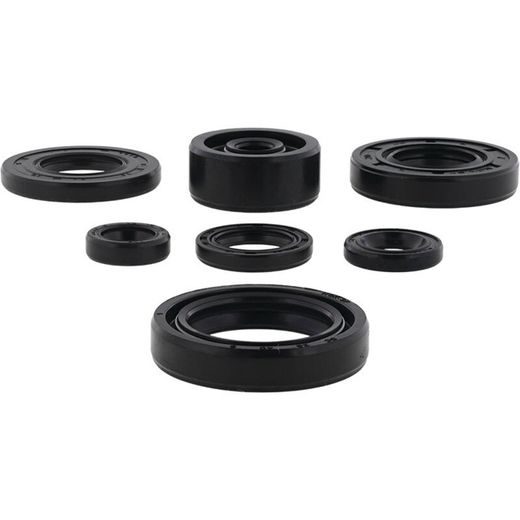 Sada gufier motoru WINDEROSA 822113