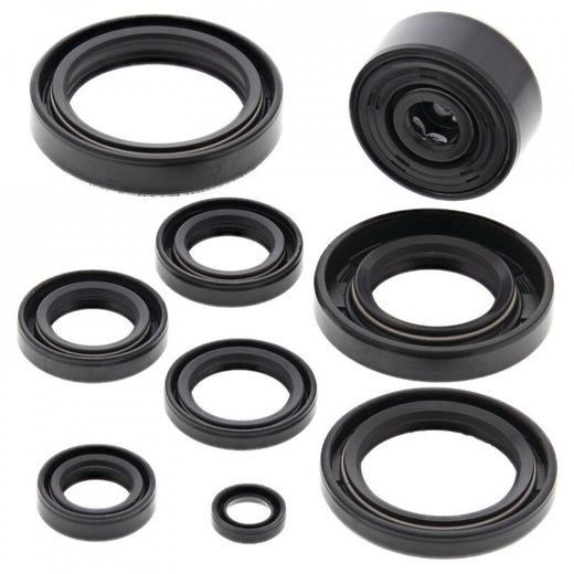 Sada gufier motoru WINDEROSA 822116
