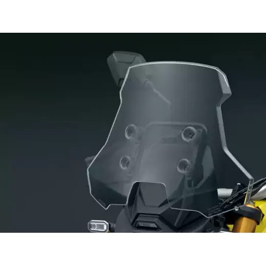 94600-25820-000 Touring Plexi