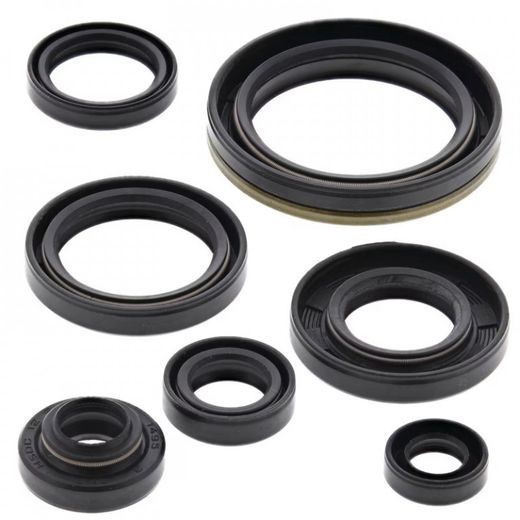 Sada gufier motoru WINDEROSA 822134