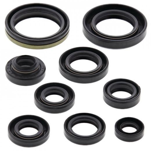 Sada gufier motoru WINDEROSA 822131