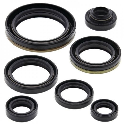 Sada gufier motoru WINDEROSA 822127