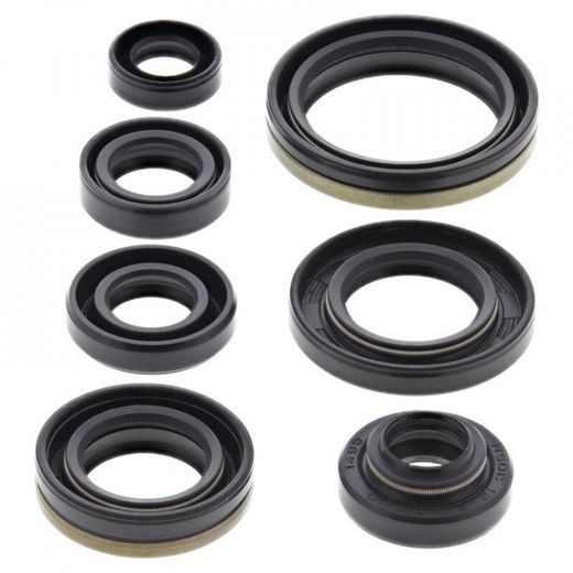 Sada gufier motoru WINDEROSA 822176