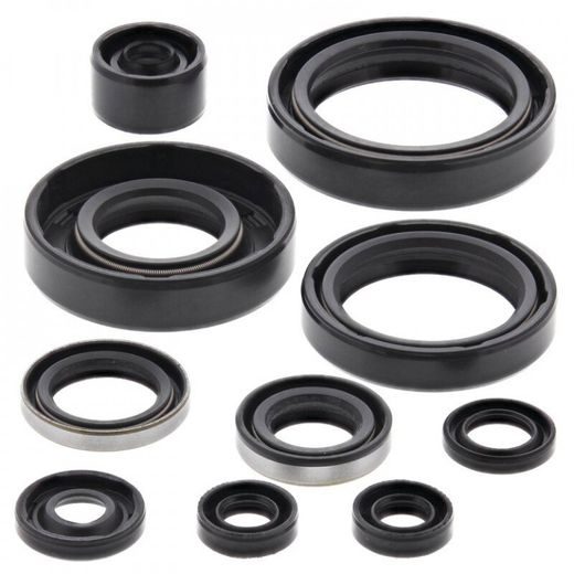 Sada gufier motoru WINDEROSA 822183