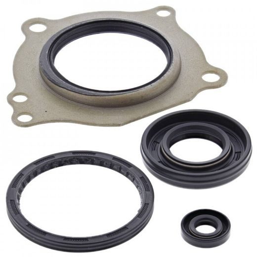 Sada gufier motoru WINDEROSA 55228