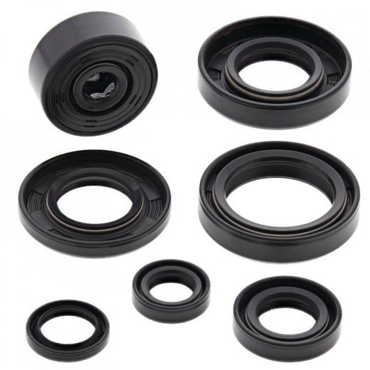 Sada gufier motoru WINDEROSA 822112