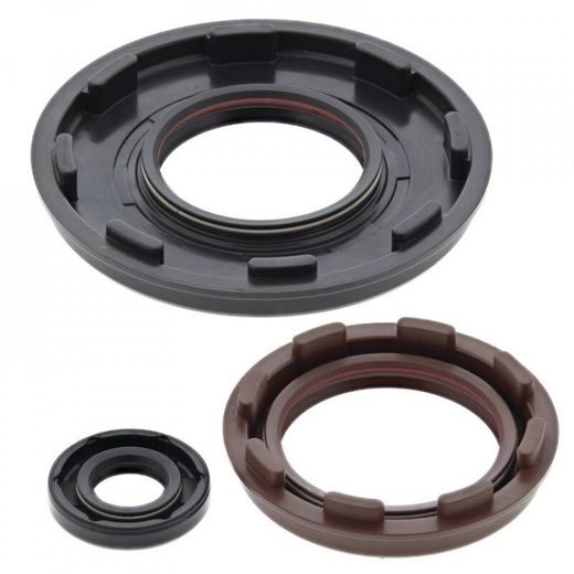 Sada gufier motoru WINDEROSA 55225