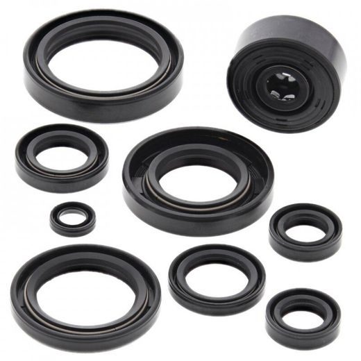 Sada gufier motoru WINDEROSA 822119